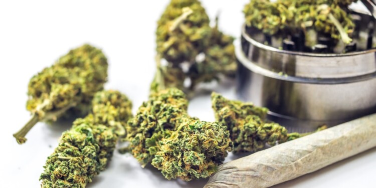 Cannabis-in-Recht-und-Gesundheit