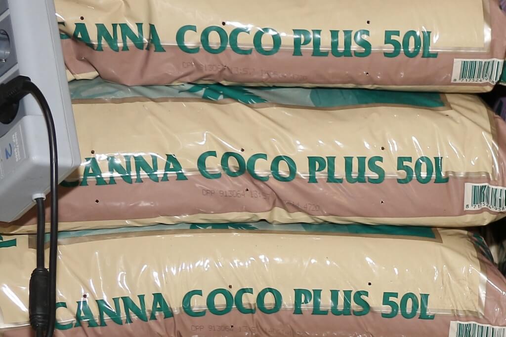Anbau auf Cocos aus Säcken