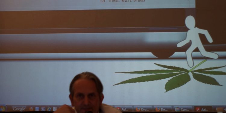 Fachmediziner-bezeichnet-Cannabis-als-Ausstiegsdroge-b