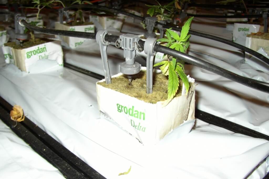 Gardena Microdrip eignet sich für Profigrowanlagen