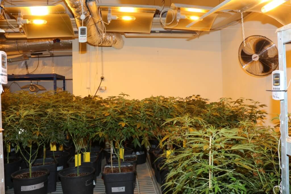 Könnte man nicht mit der warmen Growkammer Abluft die zu kalte Zuluft heizen?
