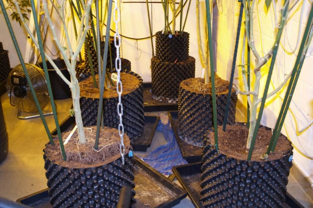 Austretendes Wasser könnte zu Growkammer Folgeschäden führen