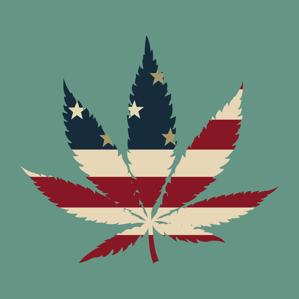 die-wahren-hintergruende-fuer-cannabis-verbote