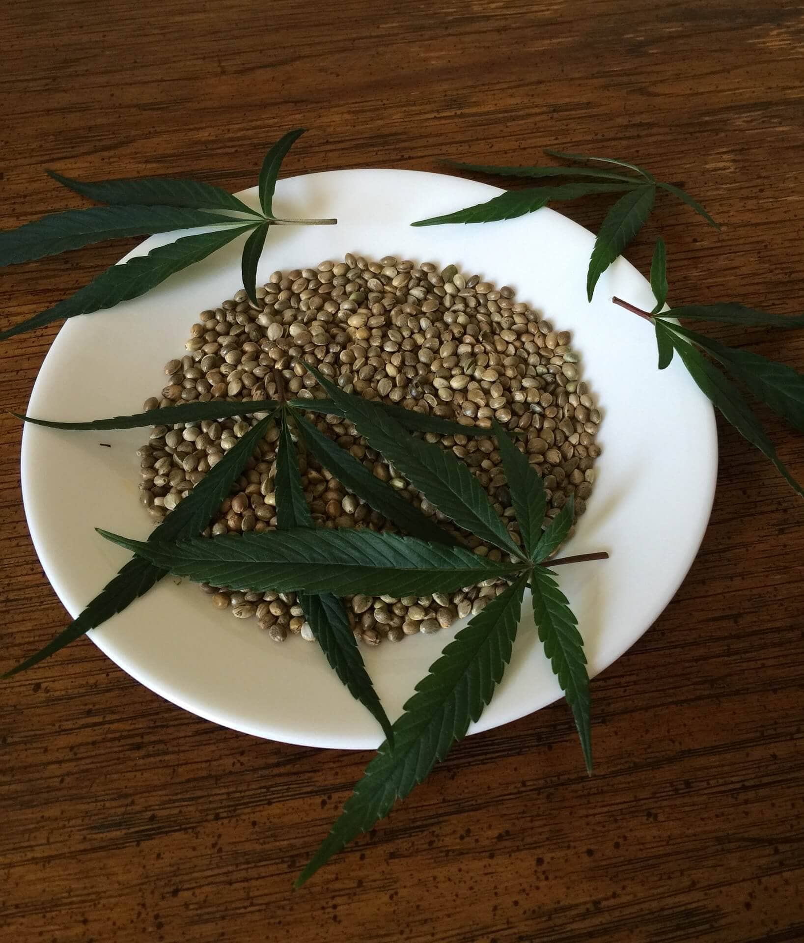 cannabis-seeds-1418321_1920