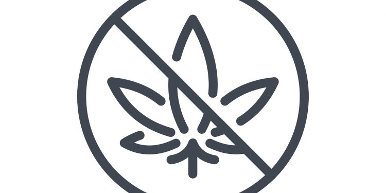 Allgemeines-Cannabisverbot-bald-nicht-mehr-haltbar