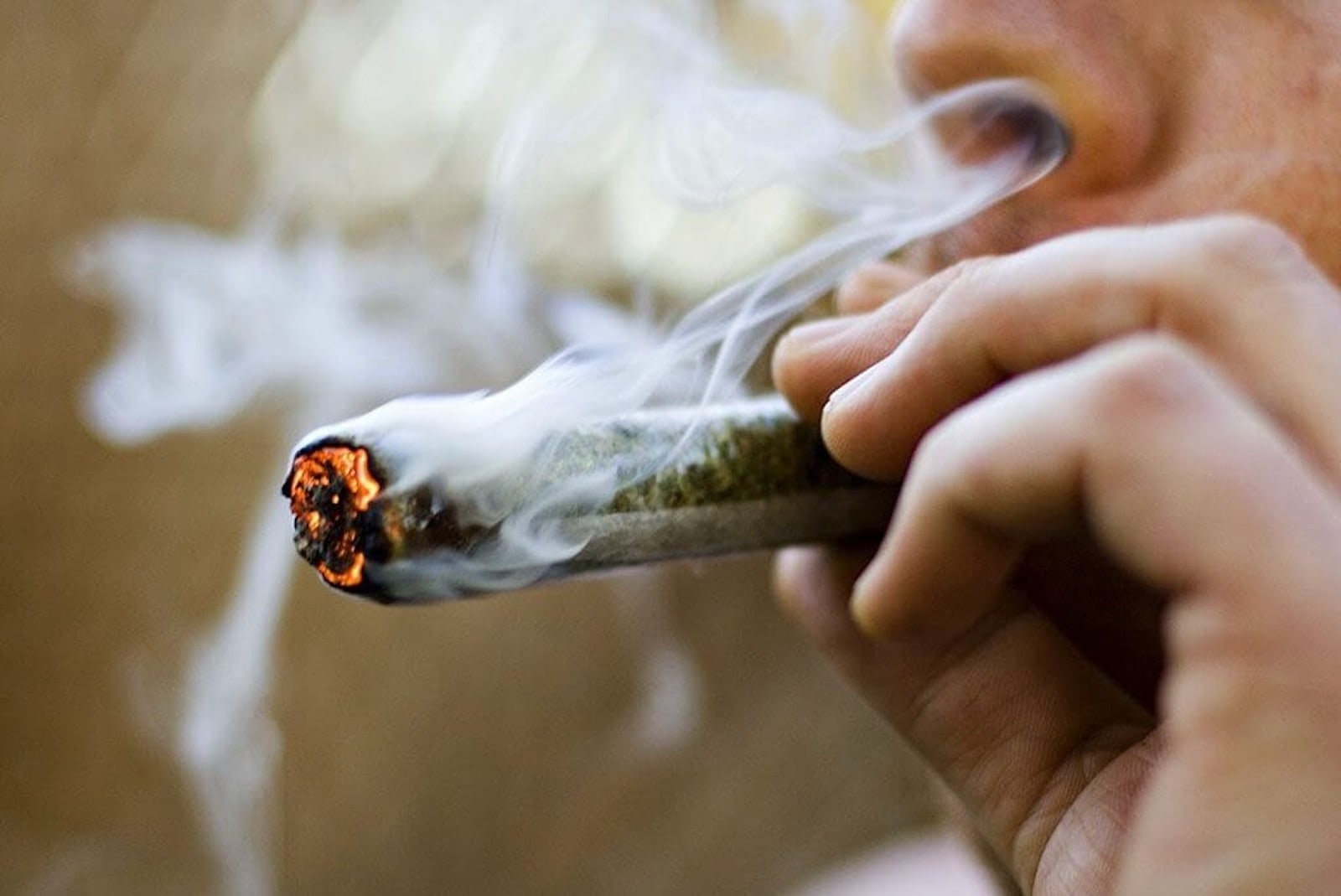 Cannabis und Tabak – Die ideale Mischung? - Cannabis rauchen & inhalieren - Hanf Magazin