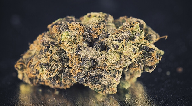 cannabis_gkv