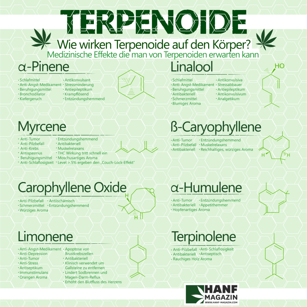 Terpene Im Cannabis Geruch Geschmack Wirkung