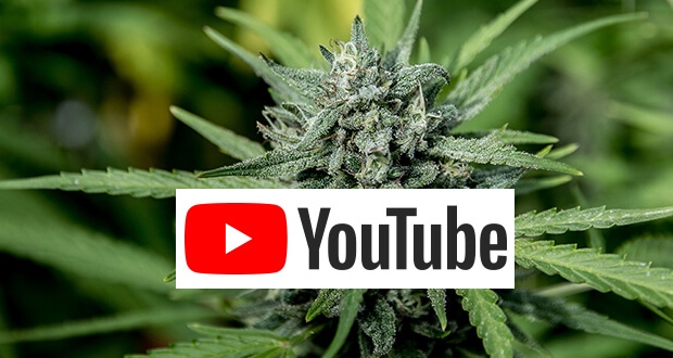 cannabis_youtube