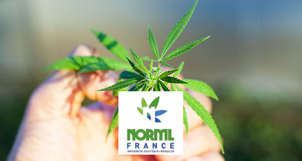 norml1
