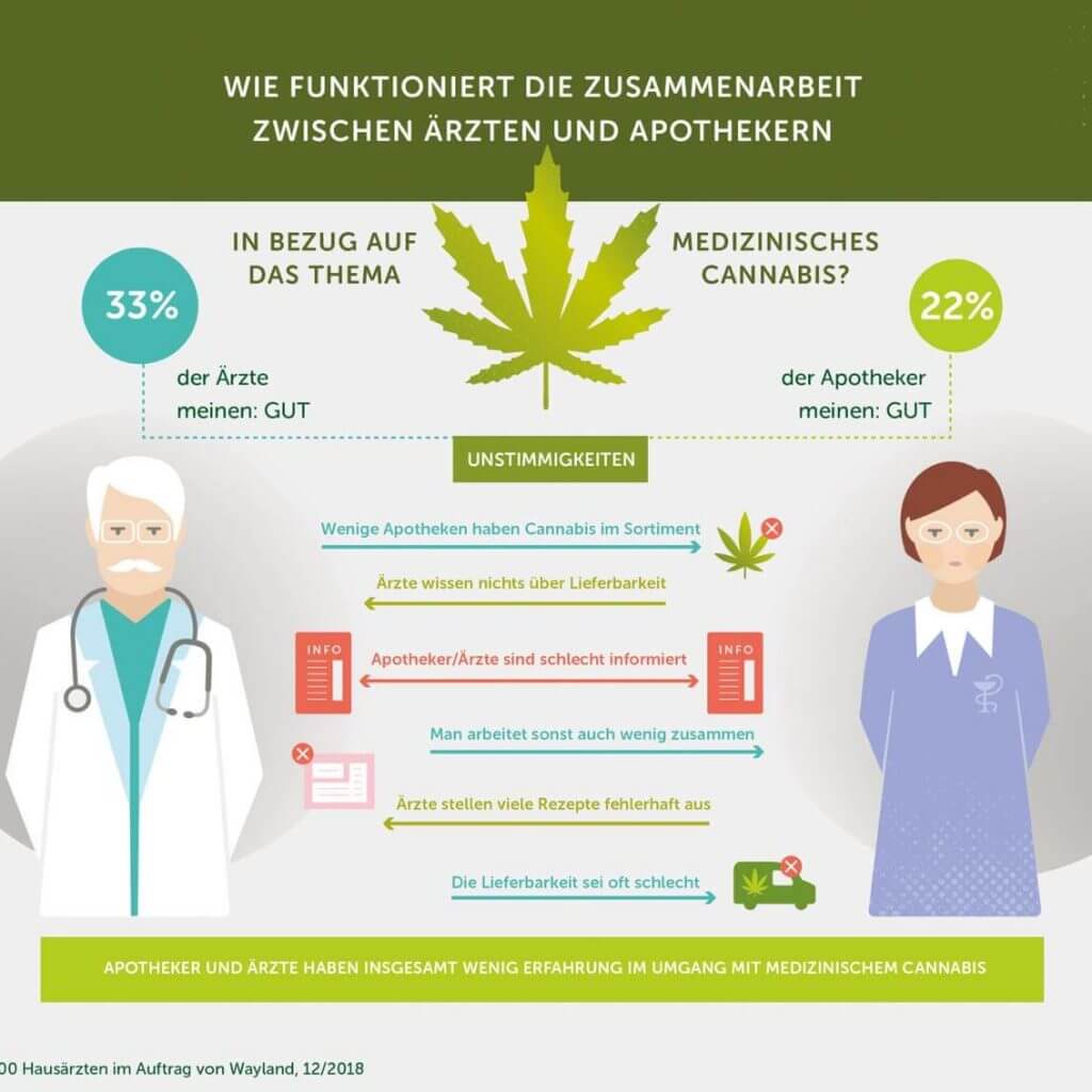 Infografik-Cannabis_01