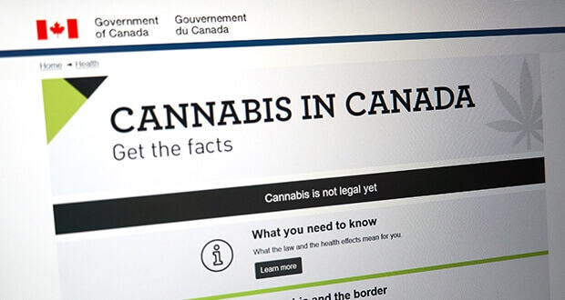 cannabis_kanada_markt