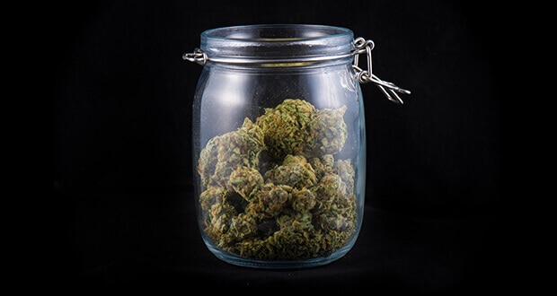 cannabis-apotheke-verfügbarkeit
