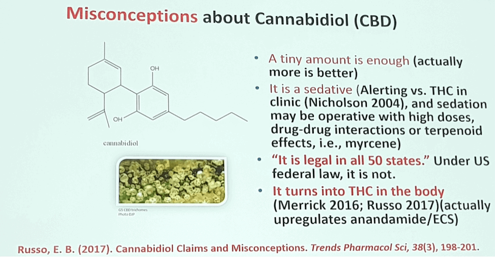 Cannabinoid-Konferenz-5