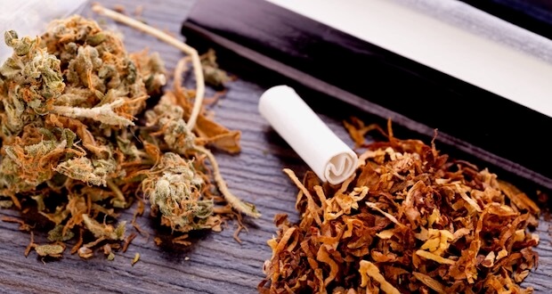 Tabak-und-Cannabis-Umfrage