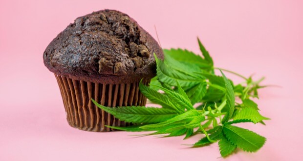 cannabis-chocolate-muffins-alternative-cannabis-cupcake-dope-drug-hemp-marihuana-marijuana-medical_t20_6mKp7L