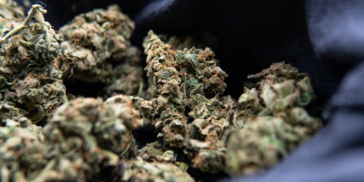 Uruguay-exportiert-Cannabis-nach-Europa-Empfänger-unbekannt