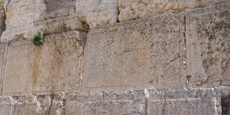 Cannabis-Fund-in-2.700-Jahre-altem-Tempel