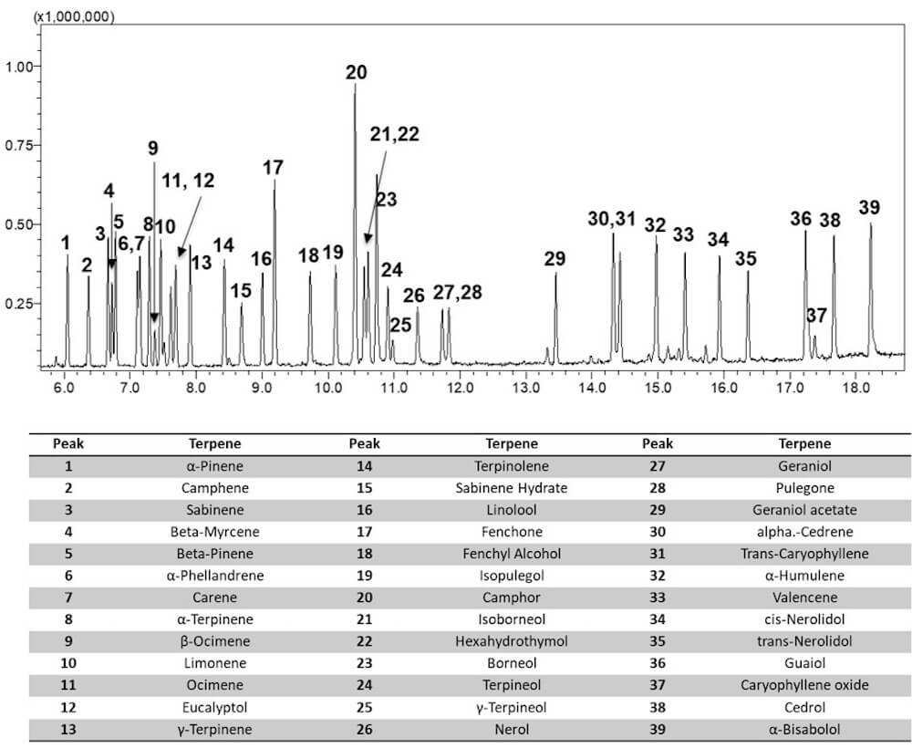 Qualitätskontrolle Von Cannabispflanzen Über Das Terpenprofil 1