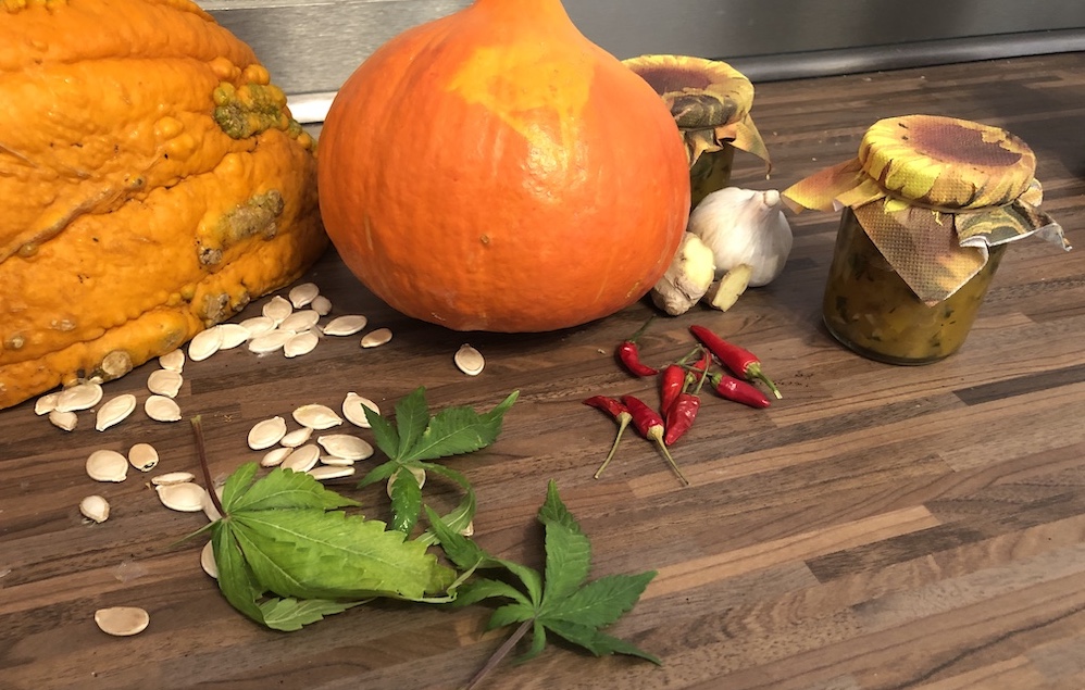 Kürbis Hanf Chutney
8 1