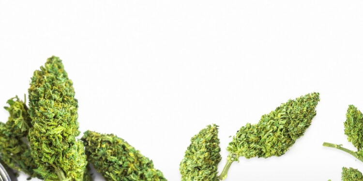 ADREXpharma-liefert-medizinisches-Cannabis