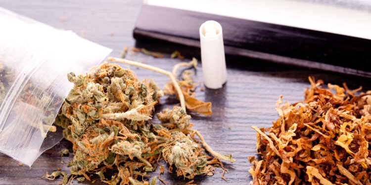Legale-Cannabis-Verkäufe-überholen-Schwarzmarkt