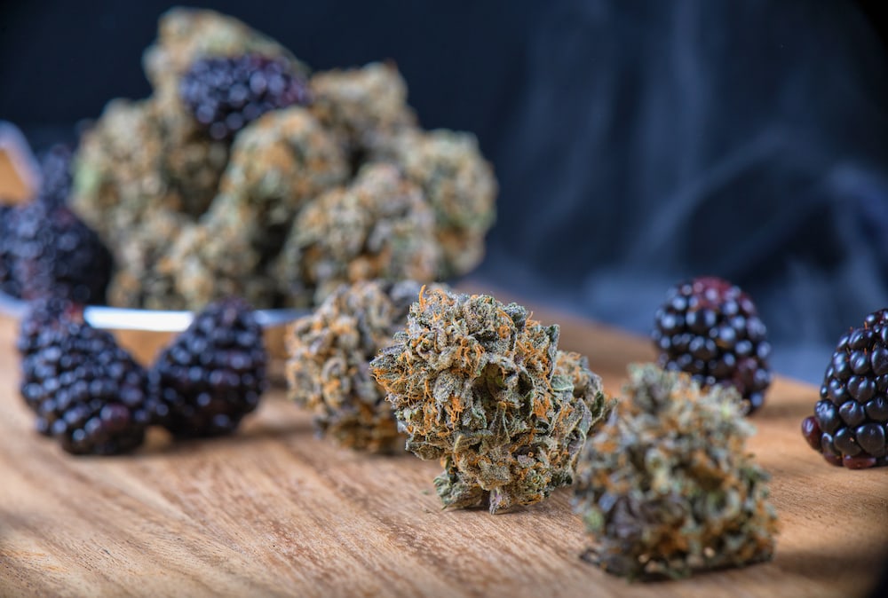 Alles Über Cannabis Edibles 2
