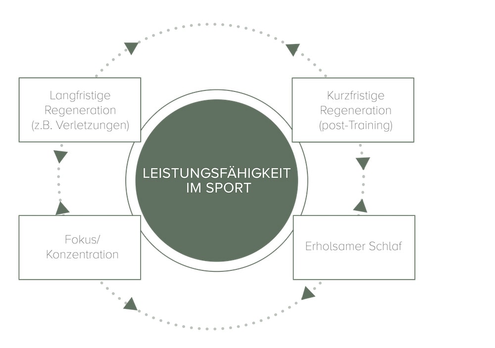 Wichtigste Bedürfnisse Der Spitzensportler