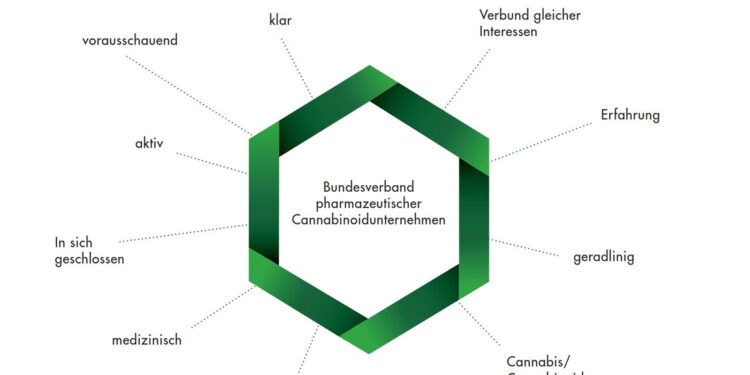 bvc-verband-cannabinoidunternehmen