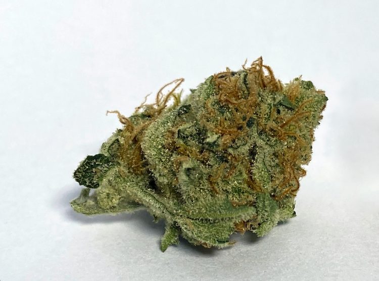 Medizinalcannabis Sortenreview Demecan 2001 Florestura Strain Reviews und Tests
