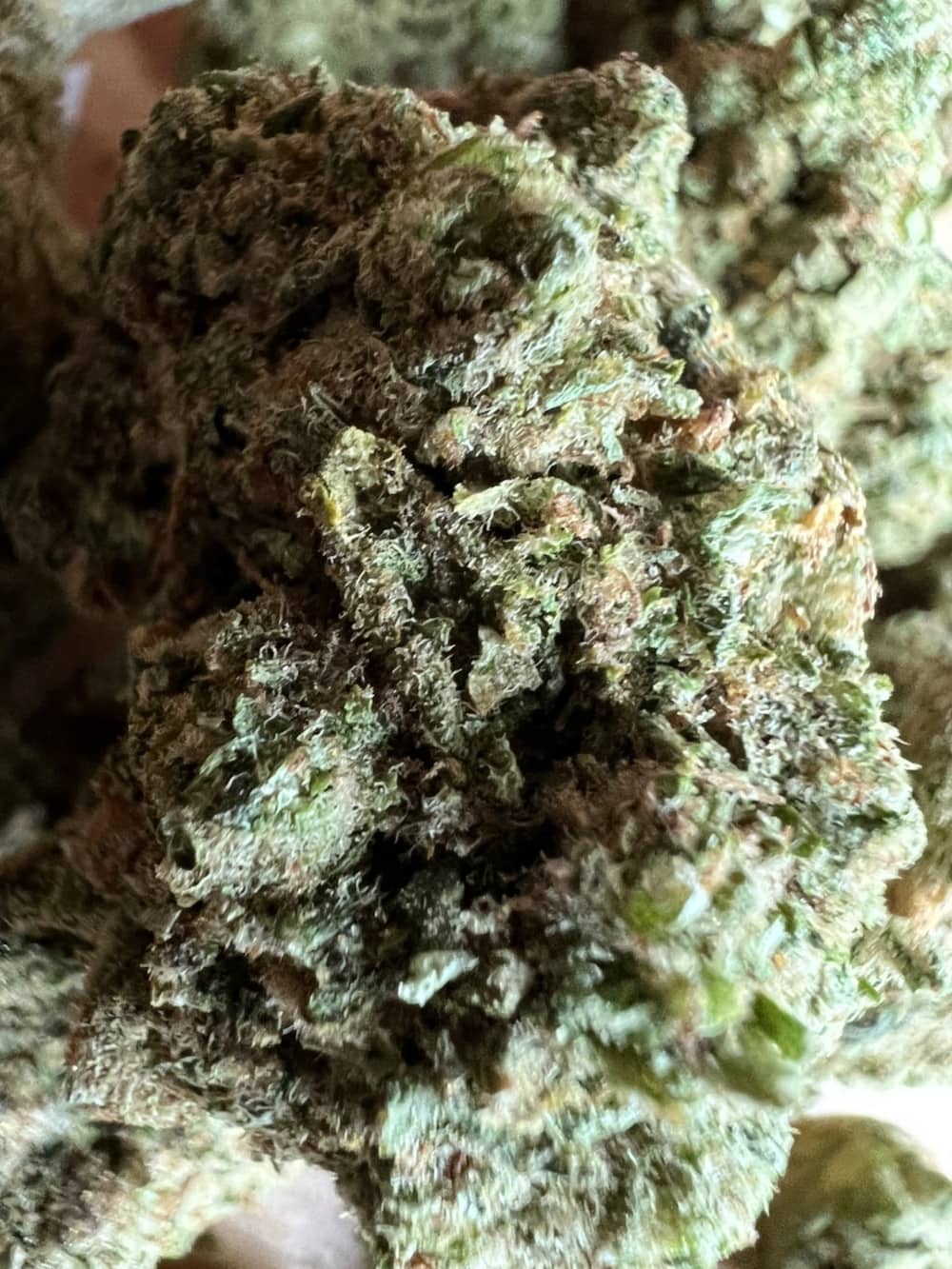 Medizinalcannabis Strain Review Cannamedical Hybrid Forte/Chocolate