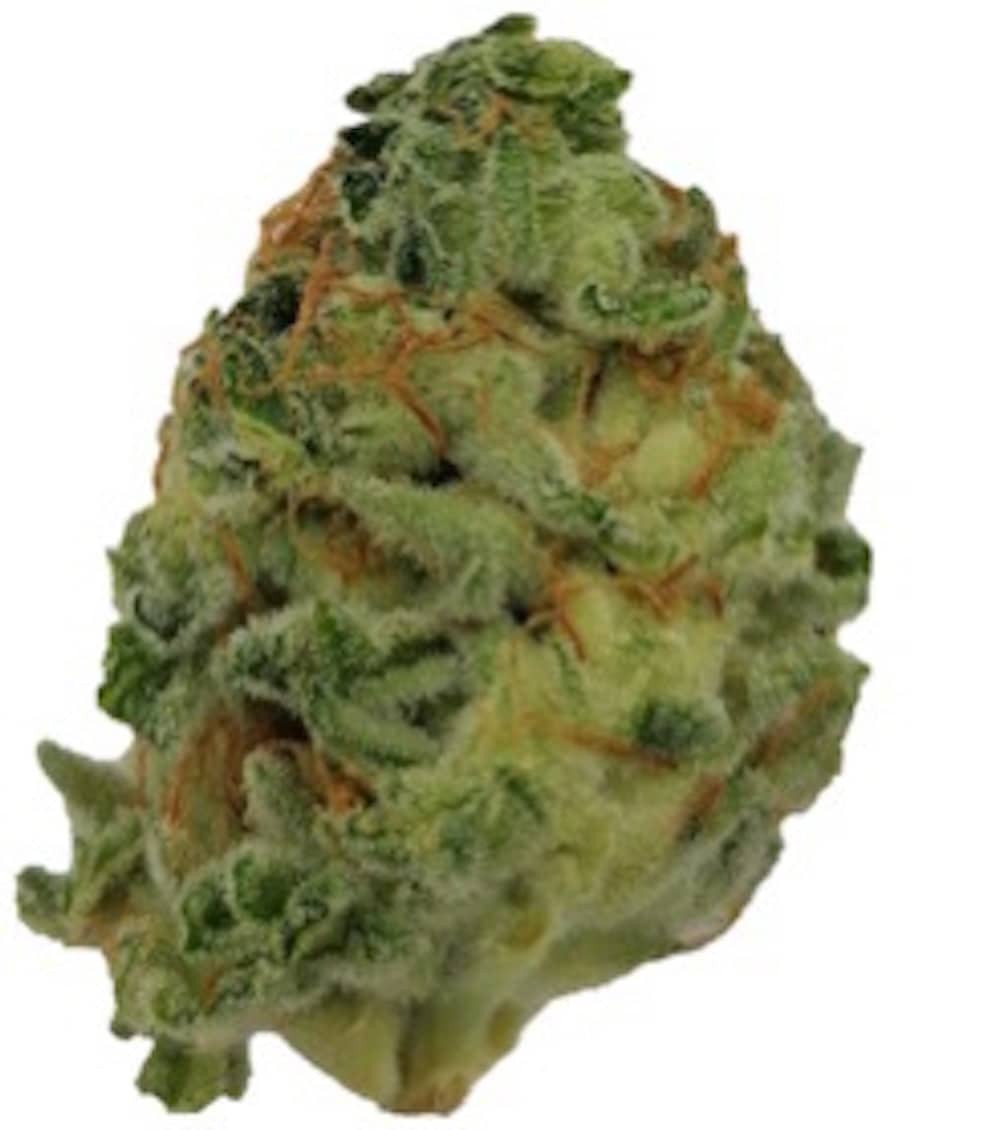 Medizinalcannabis Strain Review AVAAY 28/1 KH / Karel‘s Haze Strain Reviews und Tests