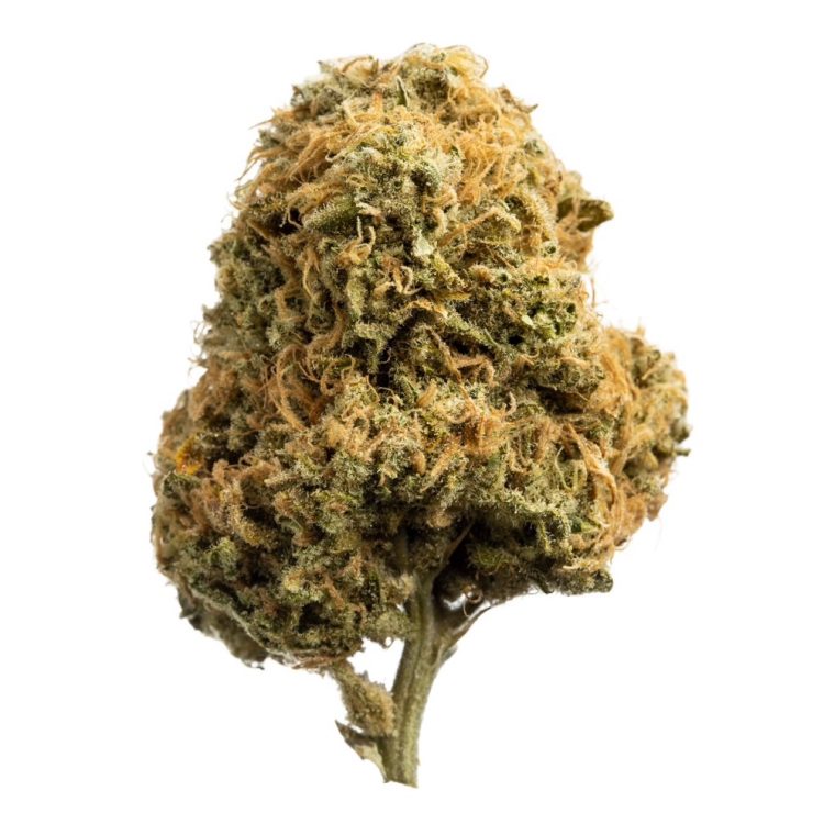 Medizinalcannabis Strain Review AVAAY 23/1 BKR / Black Krush Strain Reviews und Tests