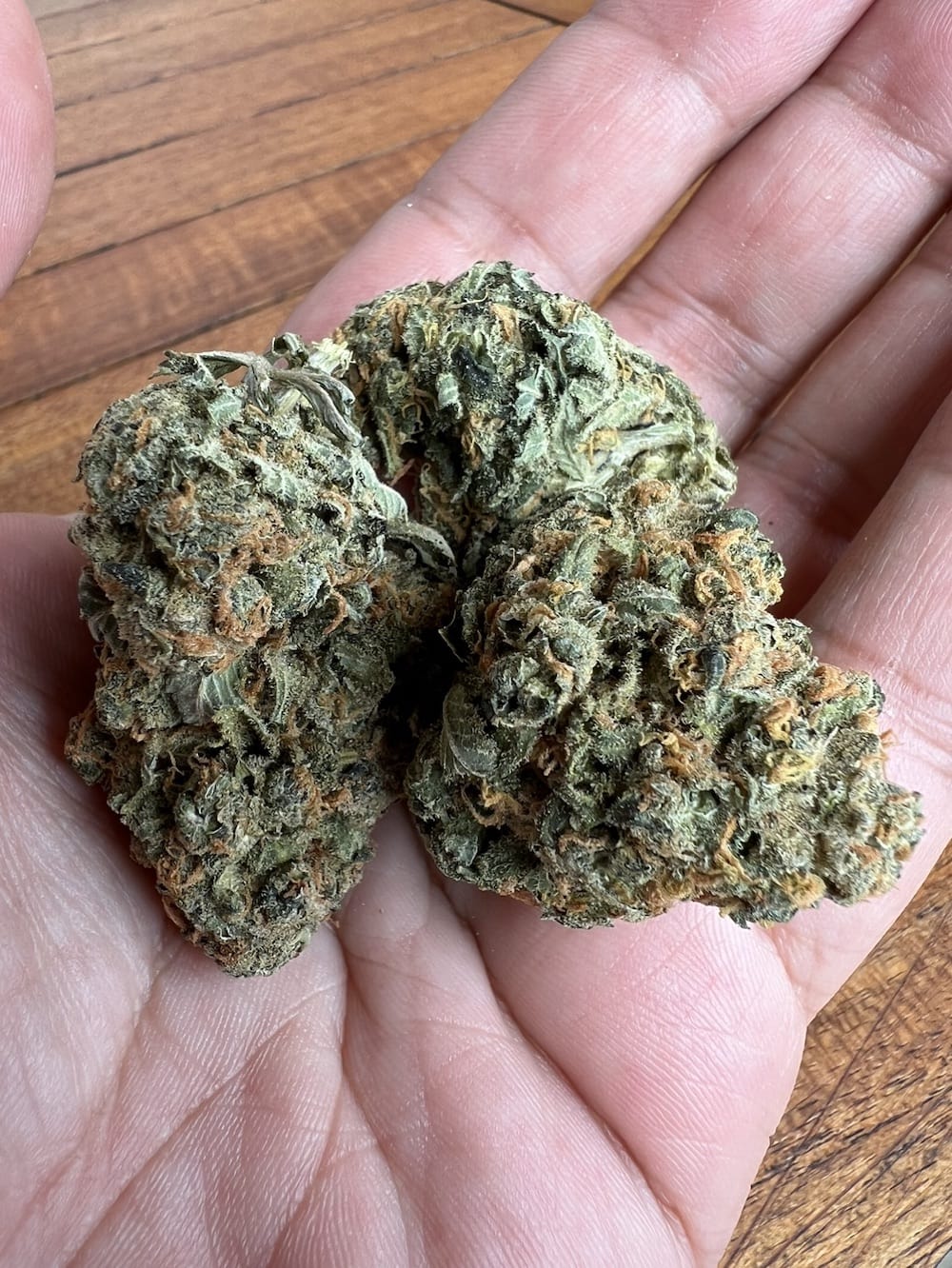 Medizinalcannabis Strain Review Cannamedical Hybrid Classic NM