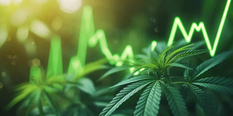 Hanf wird legal: Jetzt in Cannabis Aktien investieren?