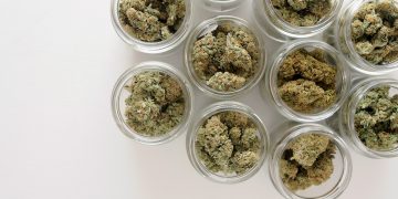 Cannabis auf Rezept verbessert Lebensqualität von Patienten deutlich